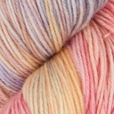 Terra Color 2024