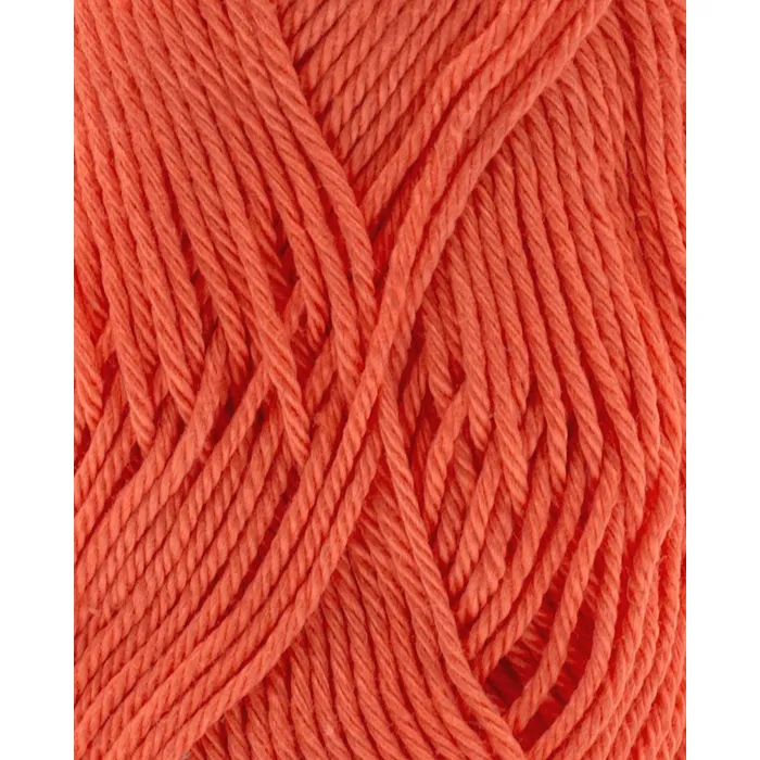 Phil Coton 3 Corail