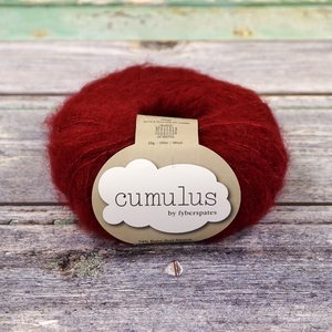 Cumulus 901