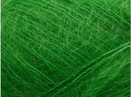 Tilia 279