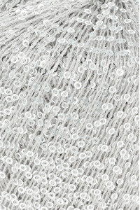 Paillettes 39.0024