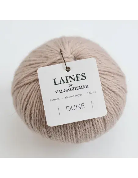Dune Biscuit