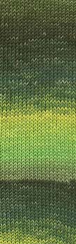 Merino 120 Dégradé 37.0002