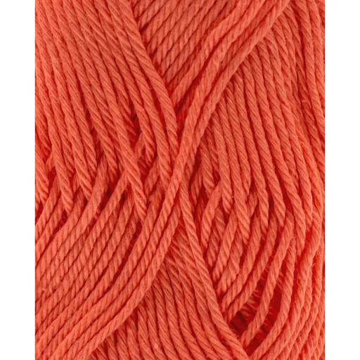 Phil Coton 3 Corail