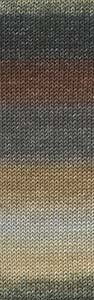Merino 120 Dégradé 37.0013