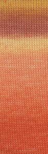 Merino 120 Dégradé 37.0017