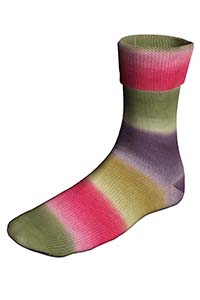 Super Soxx Color 4-Fach 901.0509