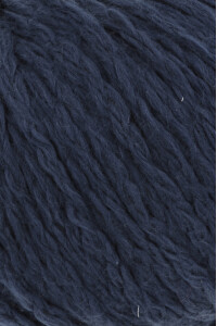 Amira 933.0025