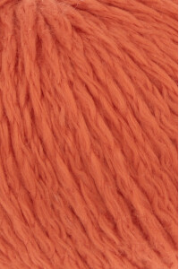 Amira 933.0061