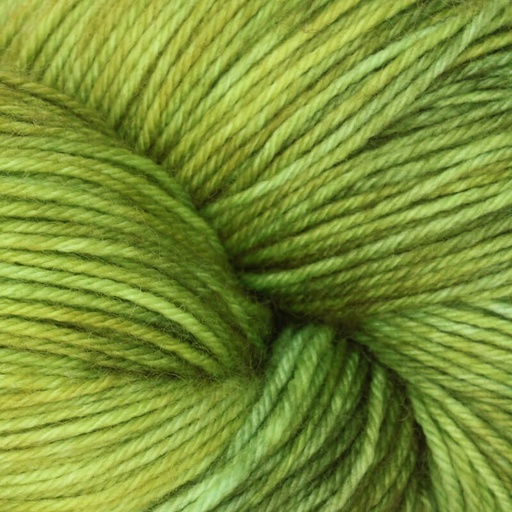 Terra Color 2032