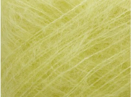 Tilia 255