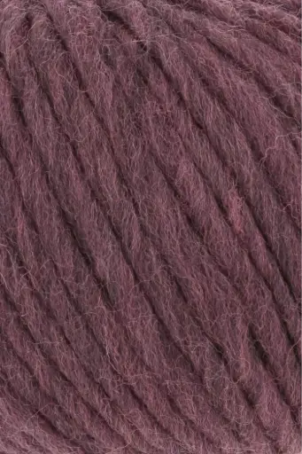 Naturalis 1192.0064