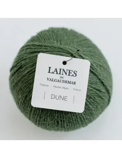Dune Fougère
