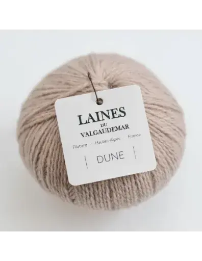 Dune Biscuit